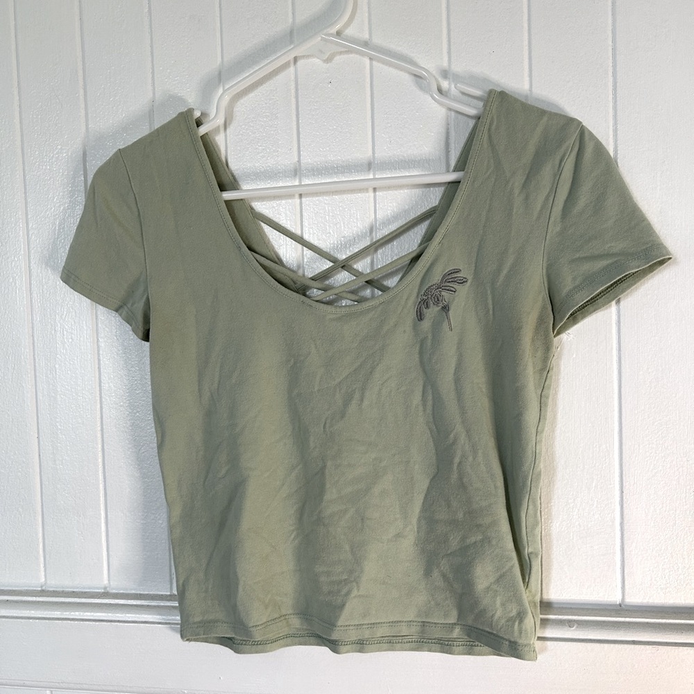 Empyre Light Sage Green Crop Top with Flower Embroidery (from Zumiez)